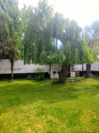 VENDO CASA 3 DORMITORIOS ZONA RESINDENCIAL BARRIO BELGRANO NEUQUEN