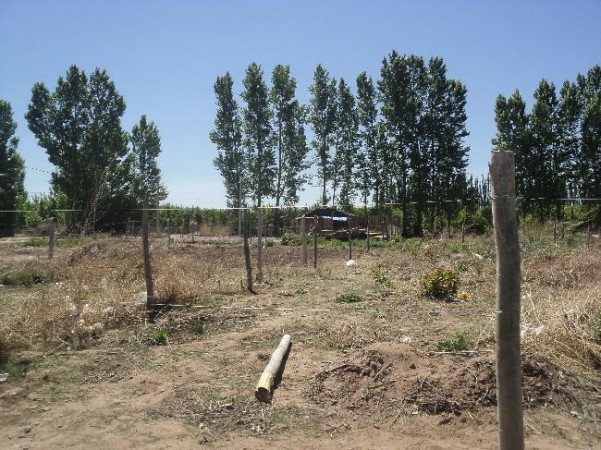 CH CLAUDIA Bienes Raices VENDO LOTEN SAN PATRICIO DEL CHAÑAR 300M2